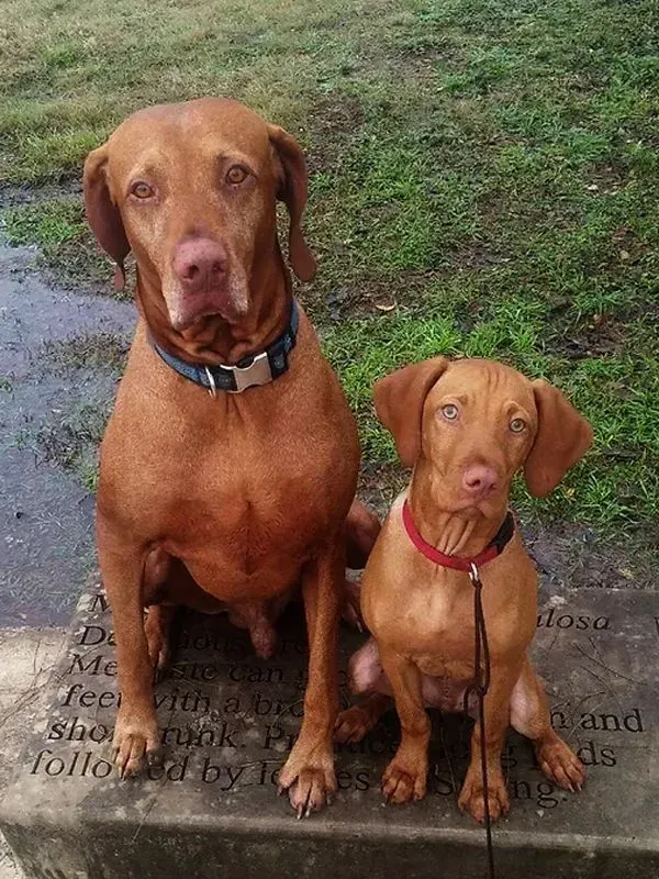 Cooper & Carson, photo 1