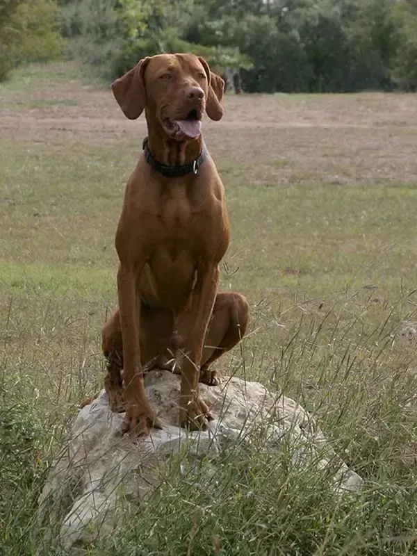 Cooper & Carson, photo 5